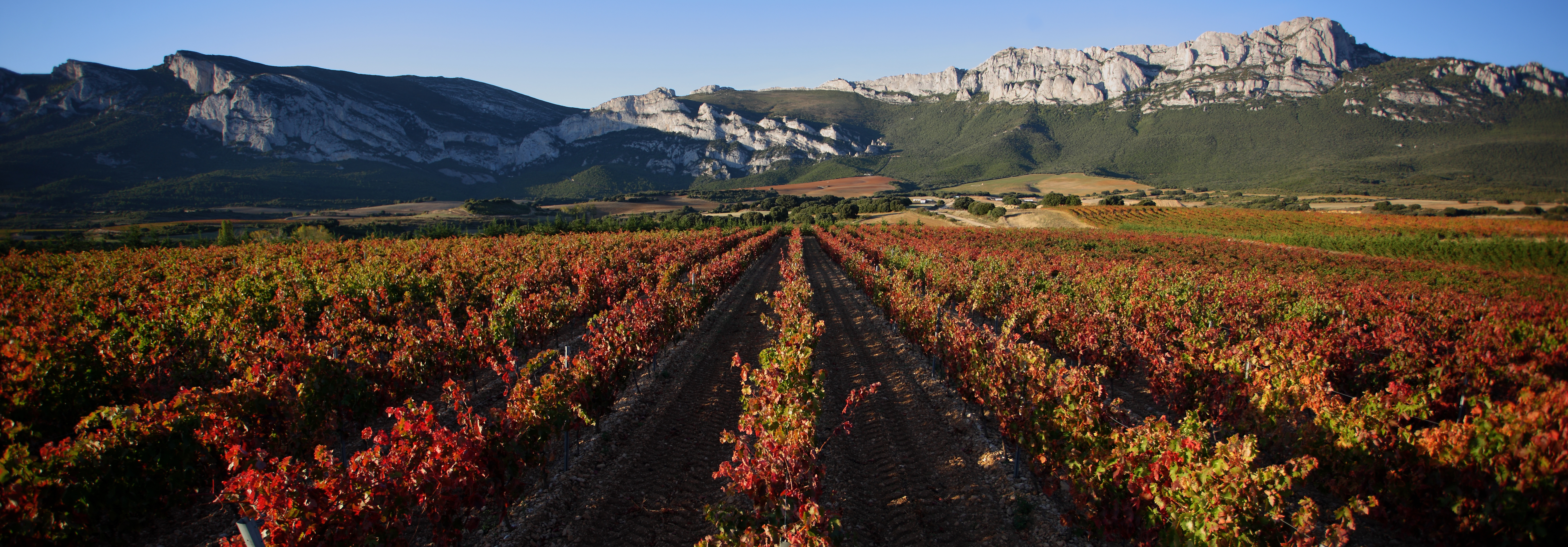 Viñedos y Sierra en Rioja Alavesa