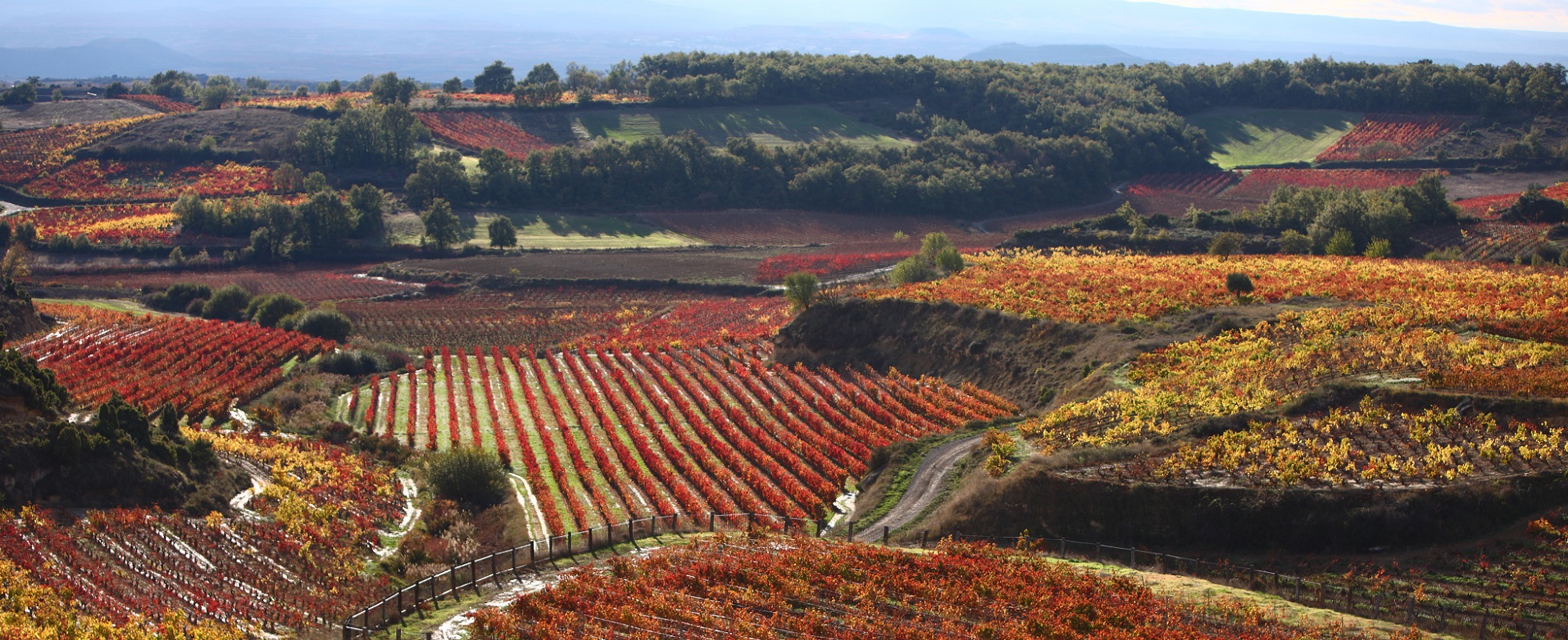 OTOÑO PAISAJE RA