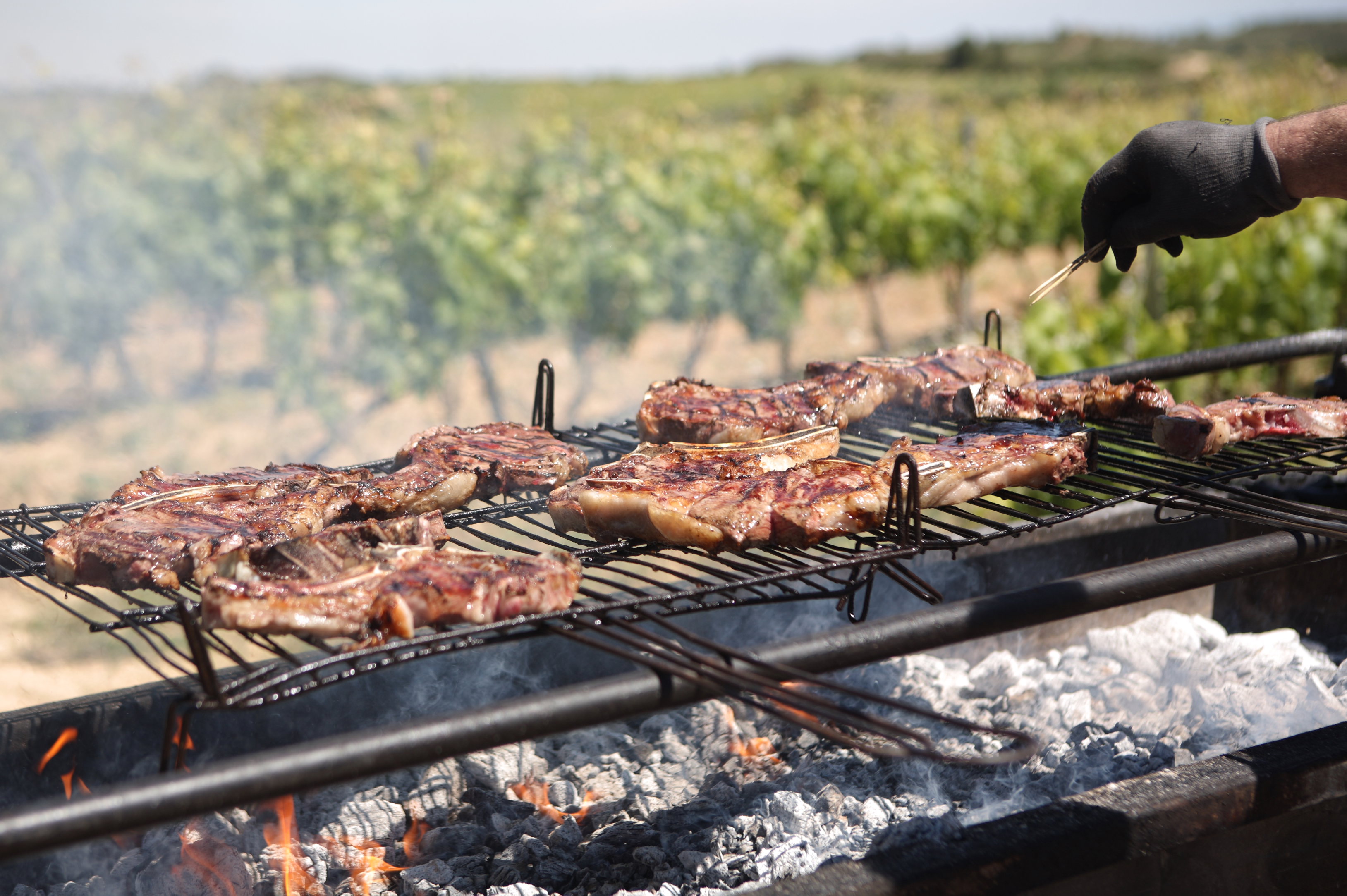 RIOJA ALAVESA chuletillas al sarmiento