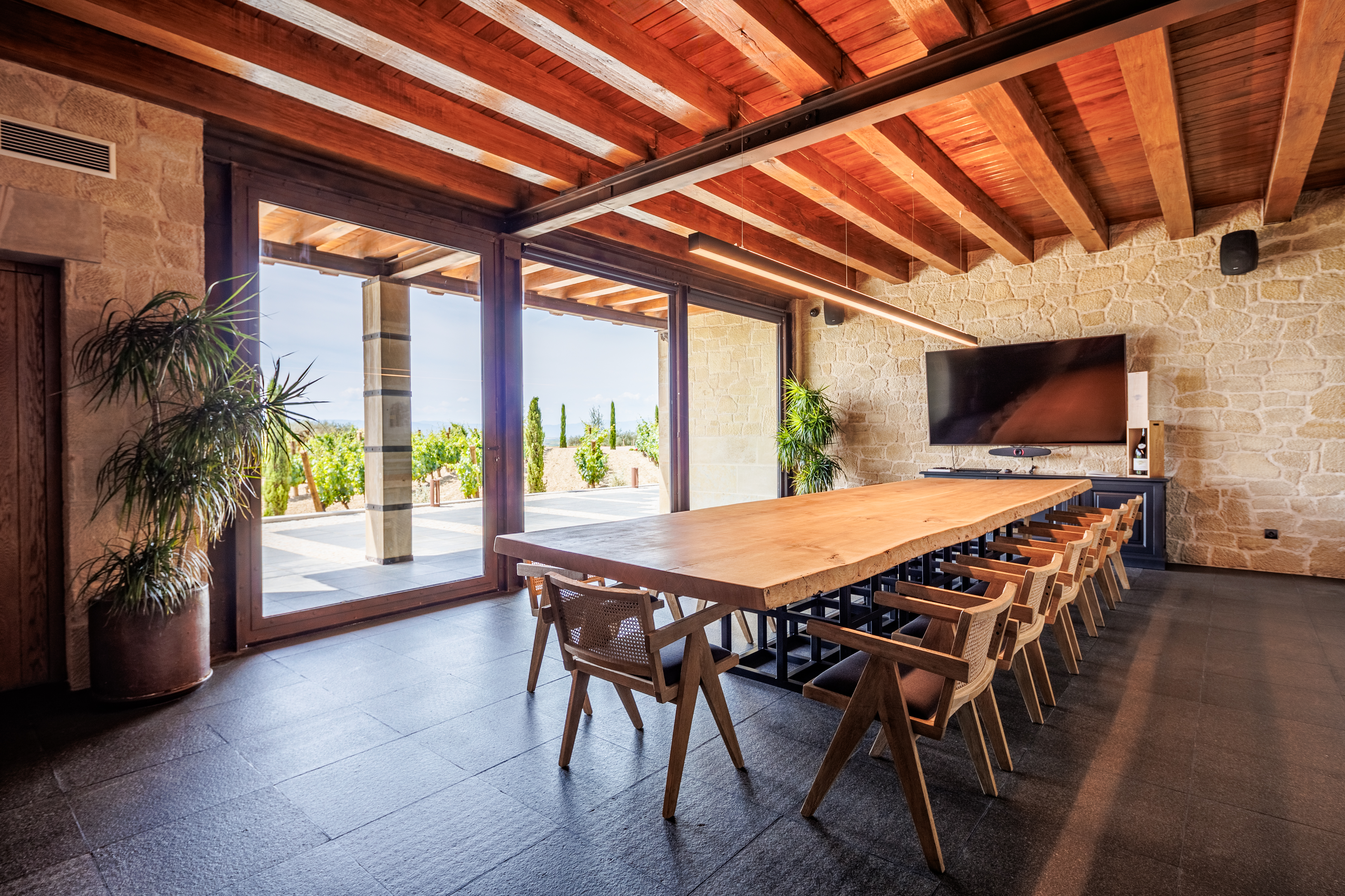 Sala El Puntido Viñedos de Paganos