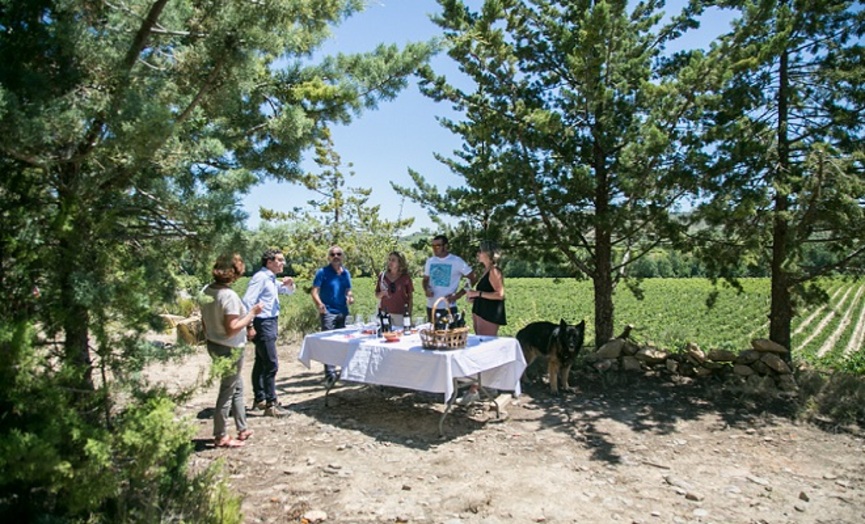 almuerzo-en-vinedo-pago-de-larrea