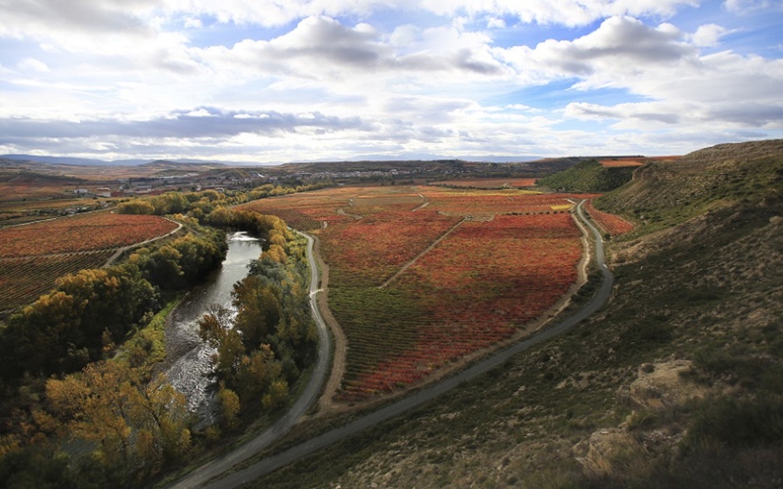 romaniguez-pago-de-larrea