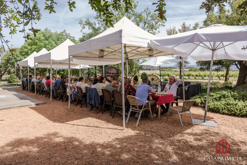 Carravalseca, viñedo ecológico de Bodegas Casa Primicia. Eventos y comidas (40)