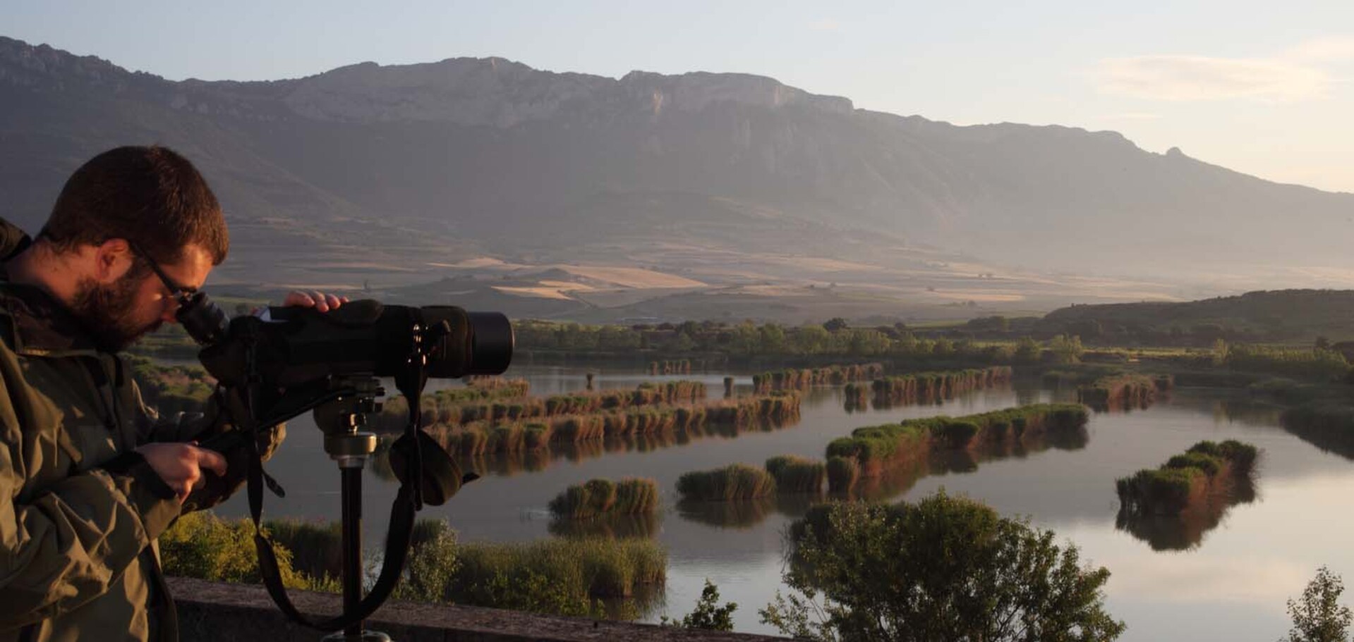 RIOJA Birding _MG_7377 QUINTAS