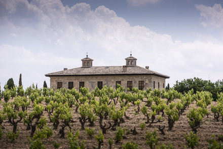 bodega_torre_de_ona_0211