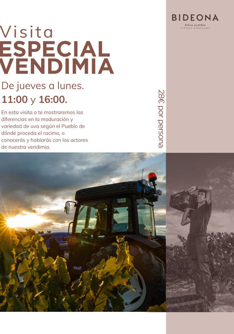 bideona-vendimia-2025