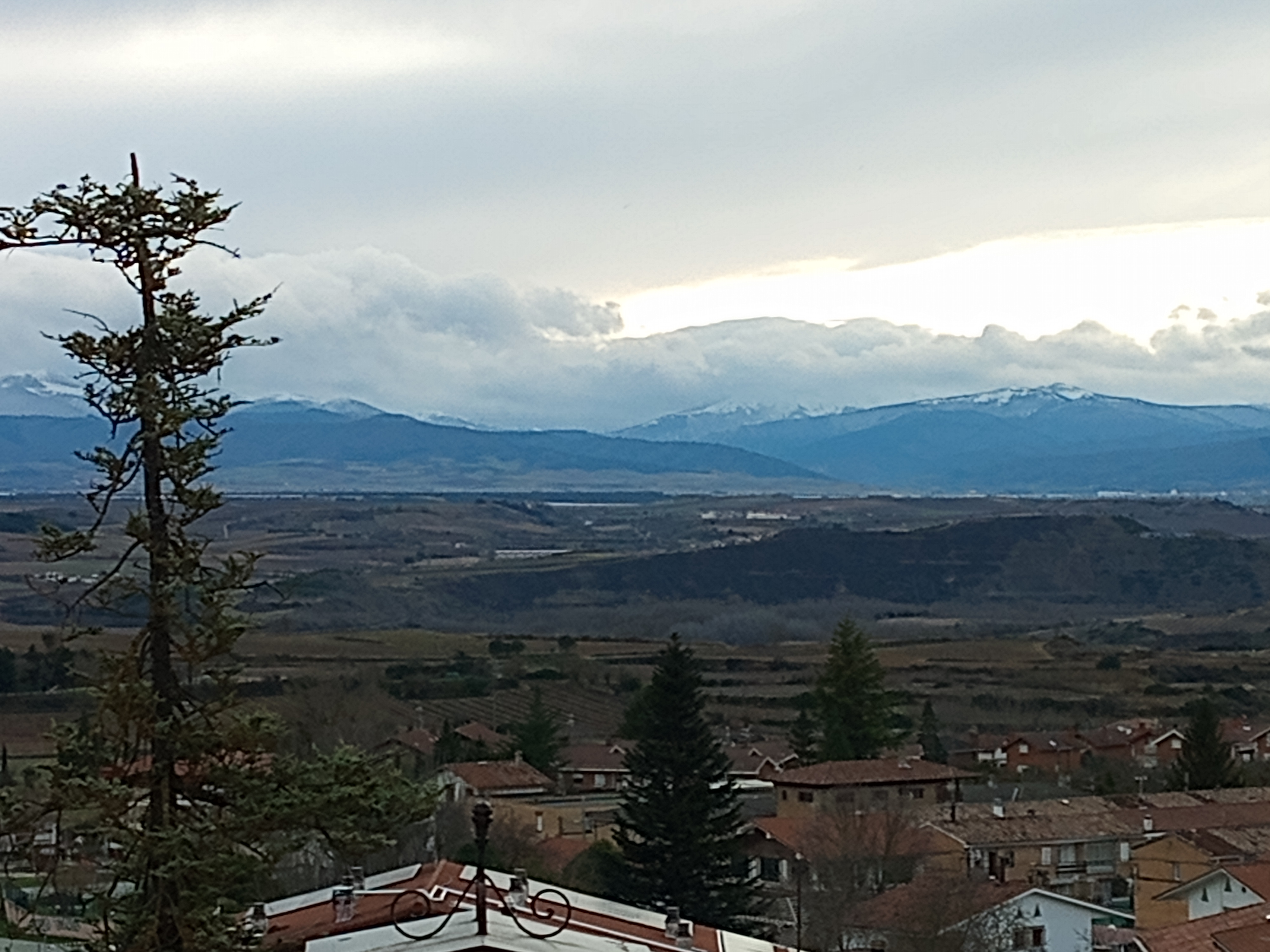 Vistas