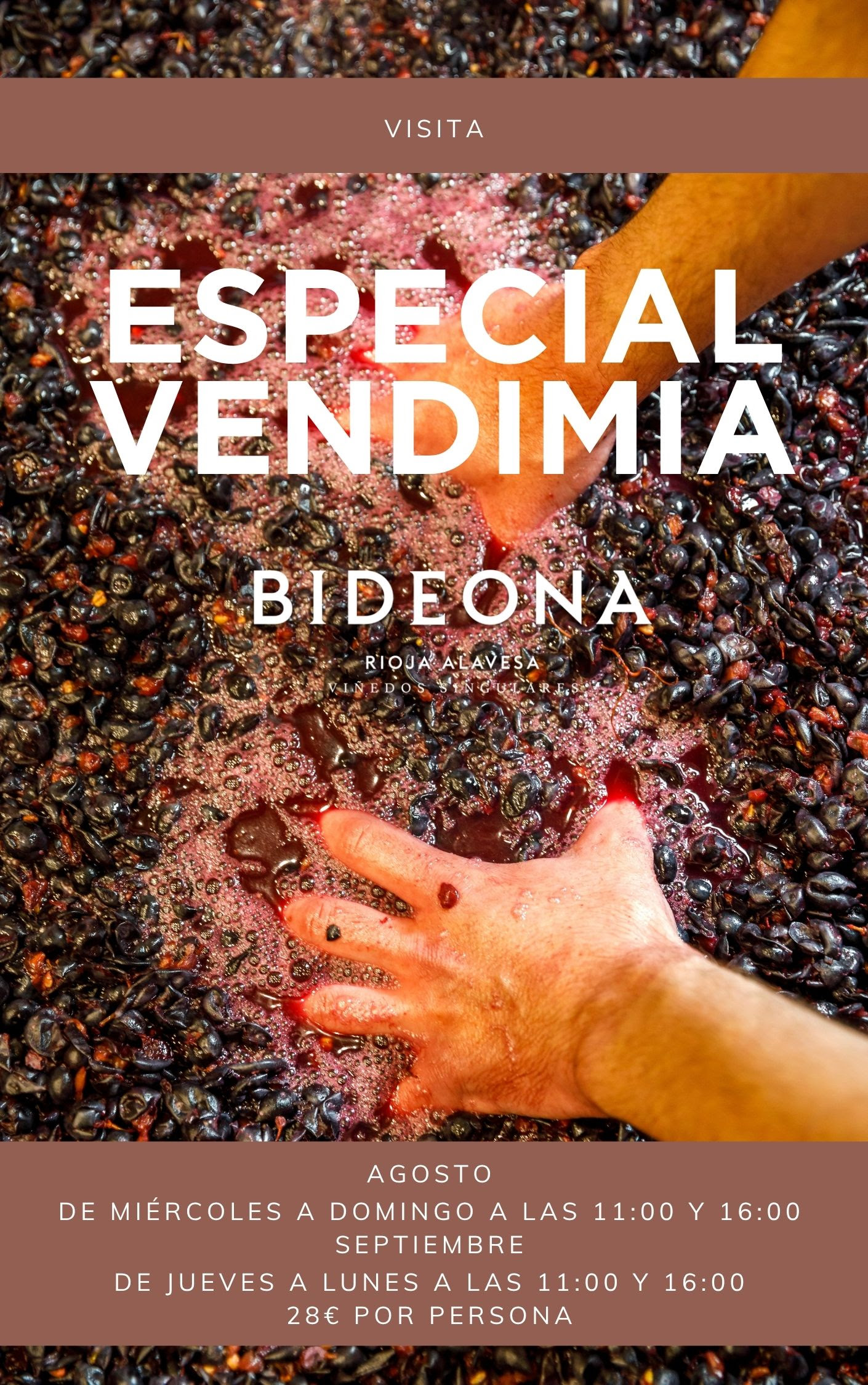 especial_vendimia_bideona
