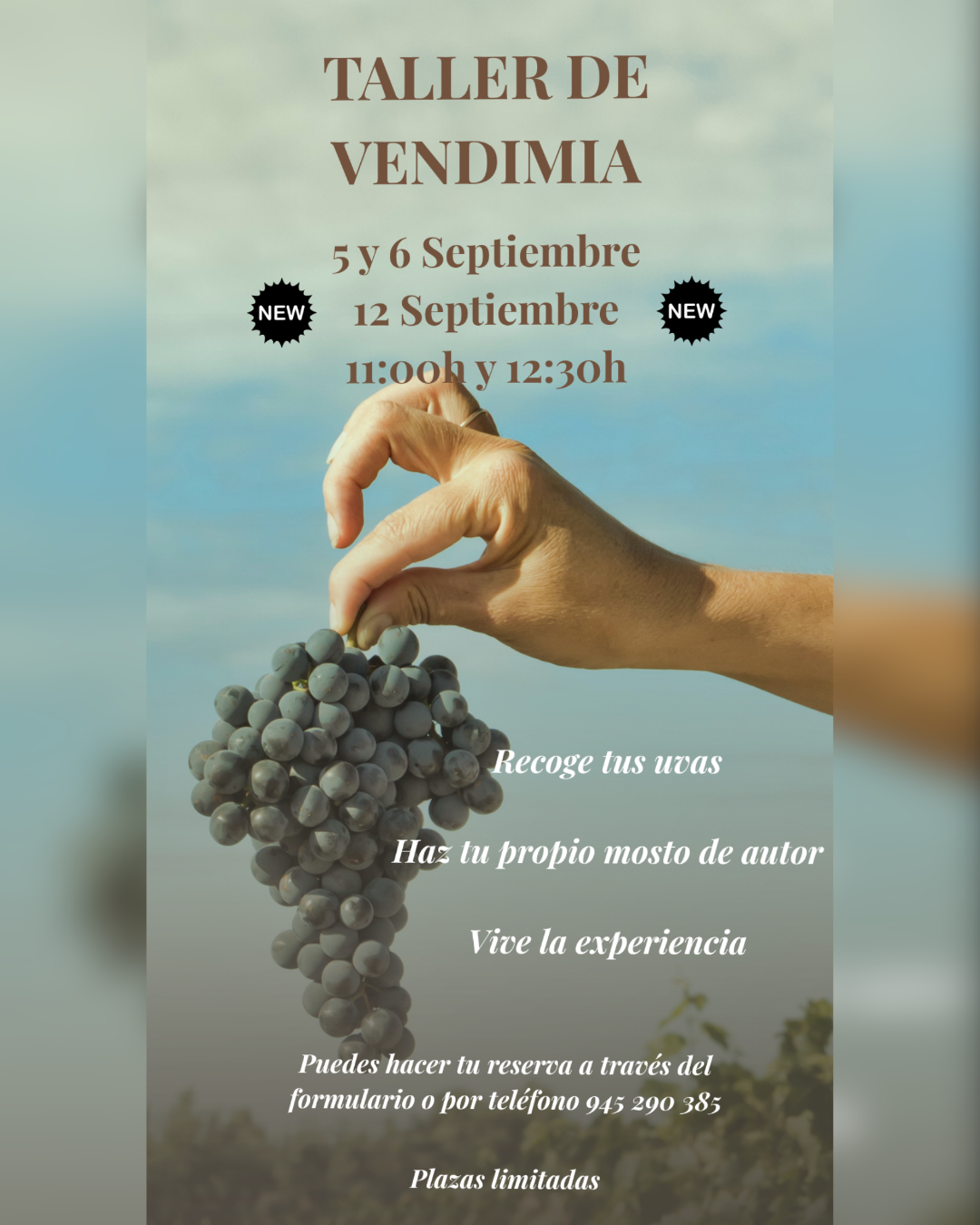 taller_vendimia_amador_garcia