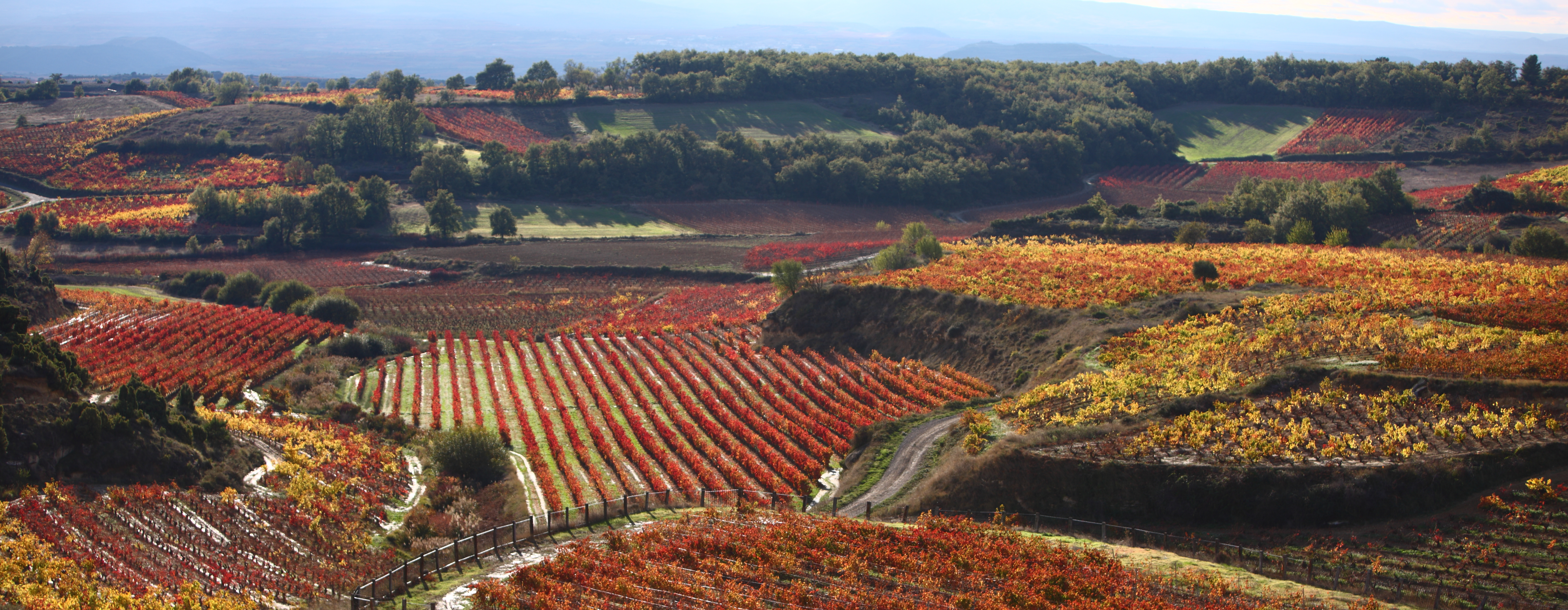 Paisaje Cuadrilla